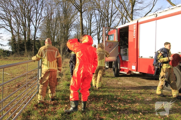 Stier onderkoeld uit ijs gehaald door brandweerlieden