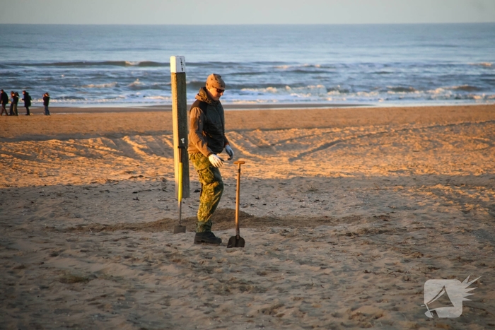 Magneetvisser vist handgranaat op