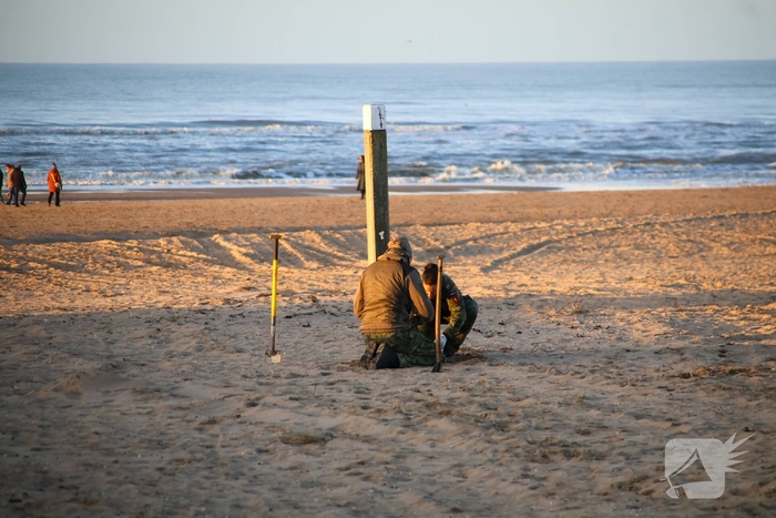 Magneetvisser vist handgranaat op
