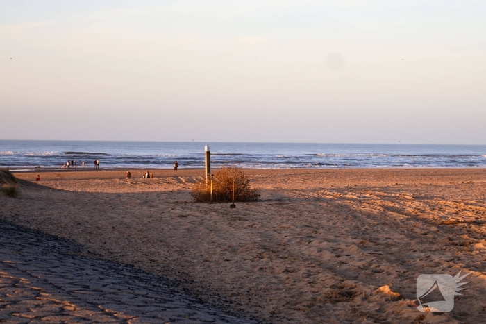Magneetvisser vist handgranaat op