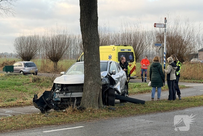 Bestuurder gewond na aanrijding met boom