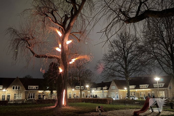 Spookboom in lichterlaaie midden in woonwijk