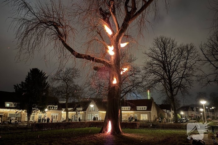 Spookboom in lichterlaaie midden in woonwijk