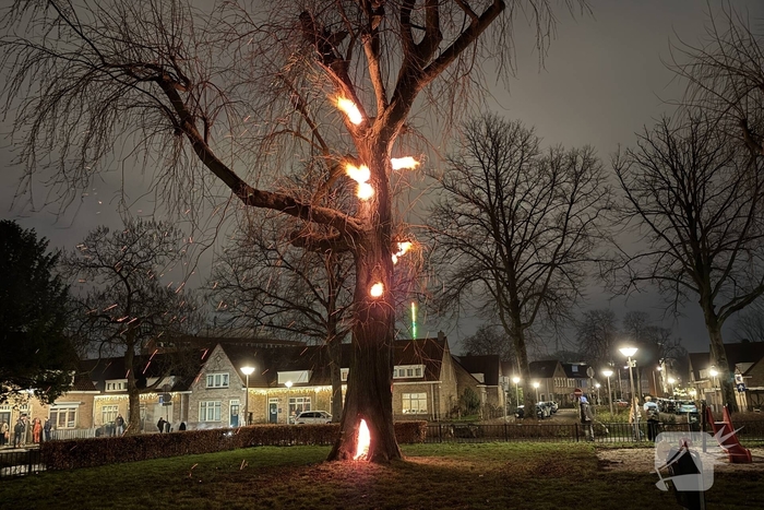 Spookboom in lichterlaaie midden in woonwijk