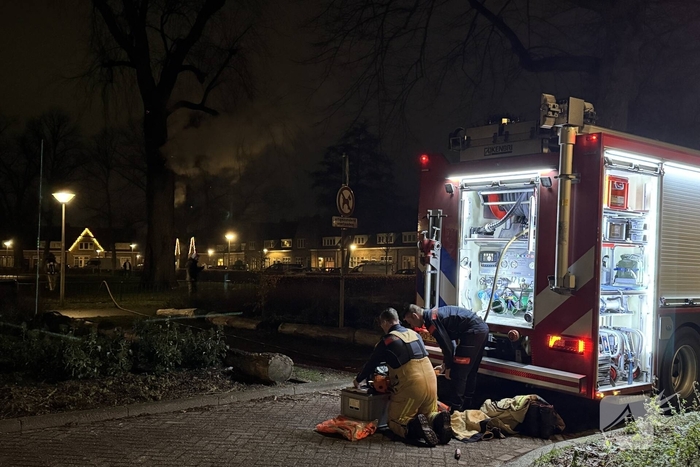 Spookboom in lichterlaaie midden in woonwijk