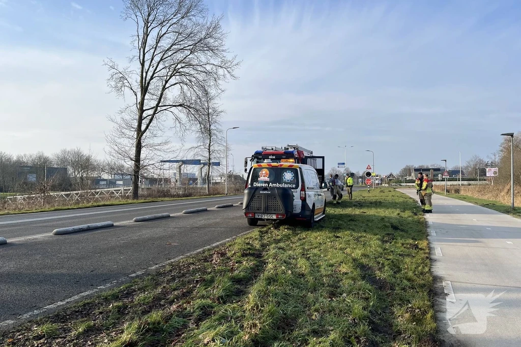 Meep 112 meldingen Urk 