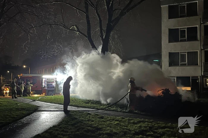 Brand in bult met kerstbomen
