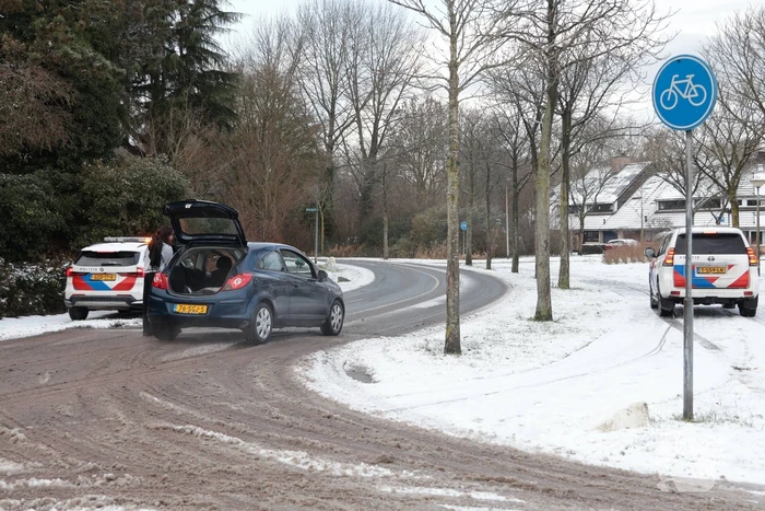 Ontsnapte hond Rylin na kat en muisspel van twee uur gevangen