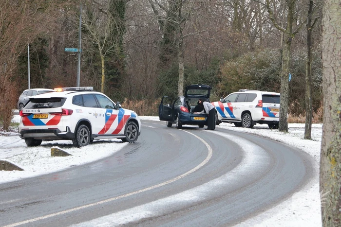 Ontsnapte hond Rylin na kat en muisspel van twee uur gevangen