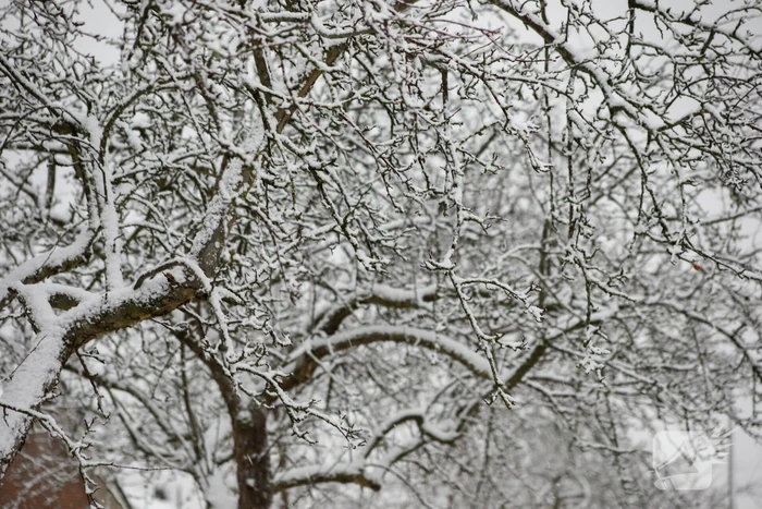 Sneeuwpret na kerstvakantie met code oranje