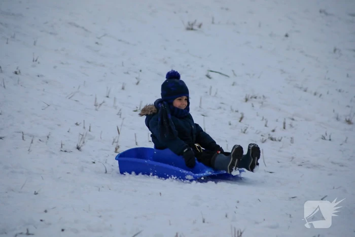 Sneeuwpret voor dier en mens