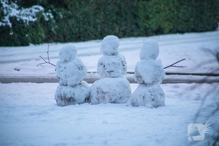 Sneeuwpret voor dier en mens