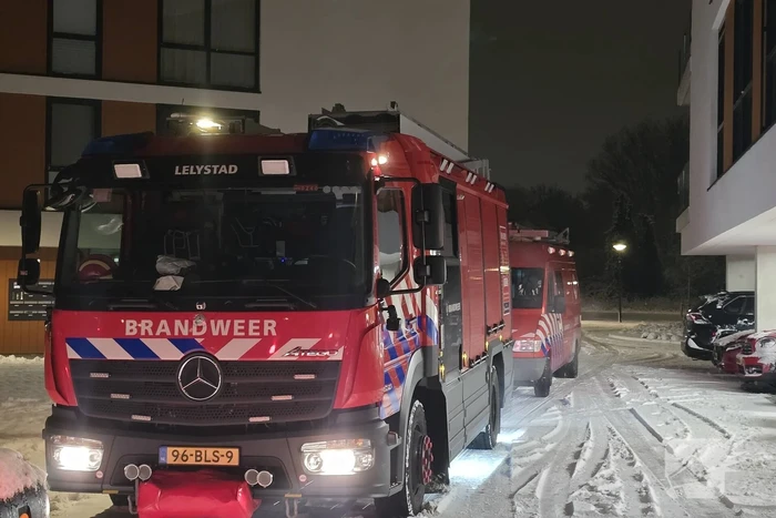 Duikteam ingeschakeld voor vastzittende zwaan