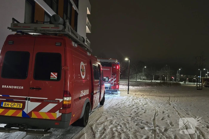 Duikteam ingeschakeld voor vastzittende zwaan