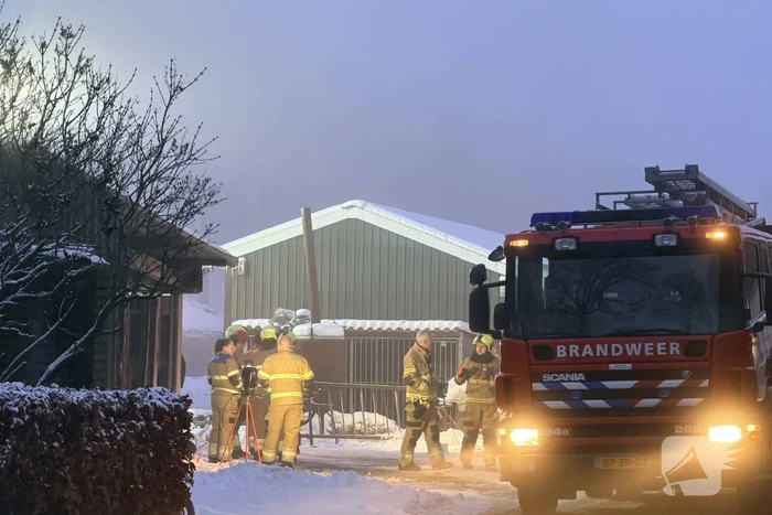 Instorting van stal zorgt voor vastzittende kalveren