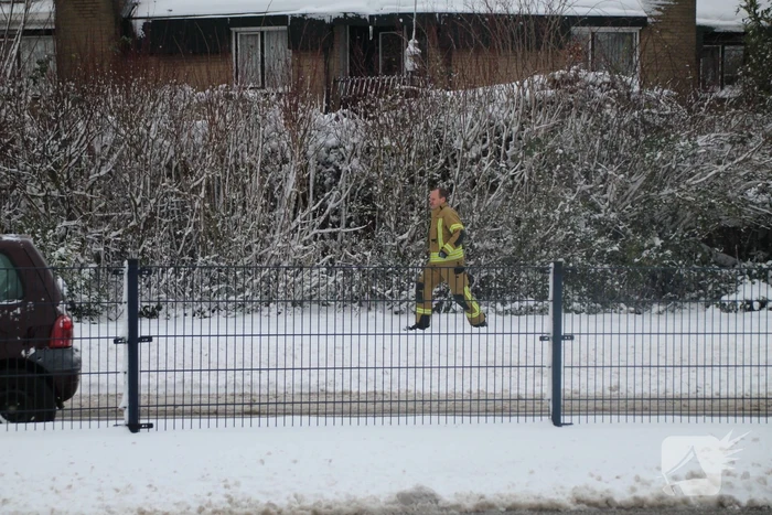 Brandweer redt kat uit ondergesneeuwde boom