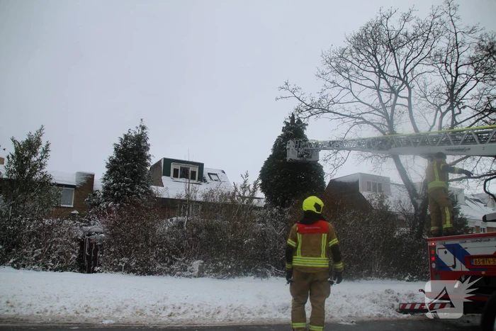 Brandweer redt kat uit ondergesneeuwde boom