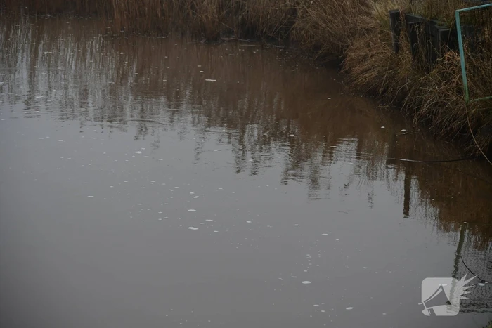 Auto met vier inzittenden belandt in het water