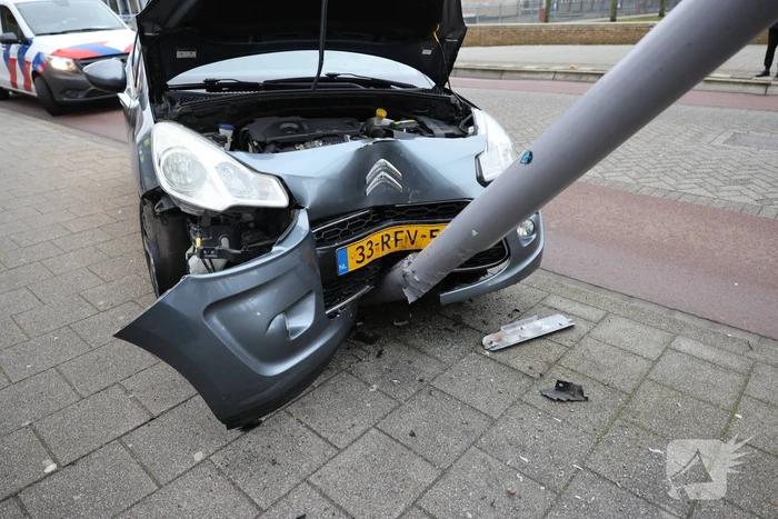 Bestuurder botst tegen lantaarnpaal na uitwijken voor zwaan