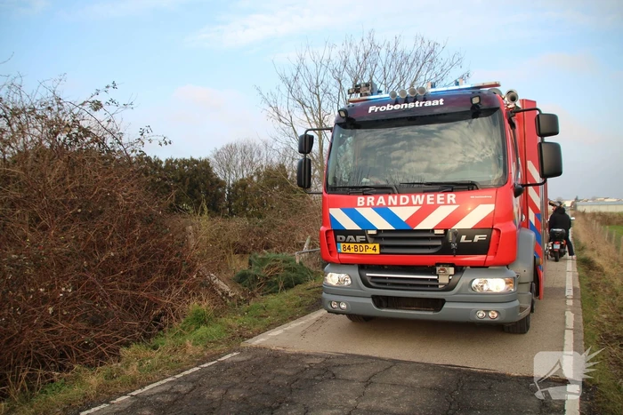 Tuinhuis gaat volledig in vlammen op