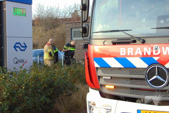 Brand verwoest bank