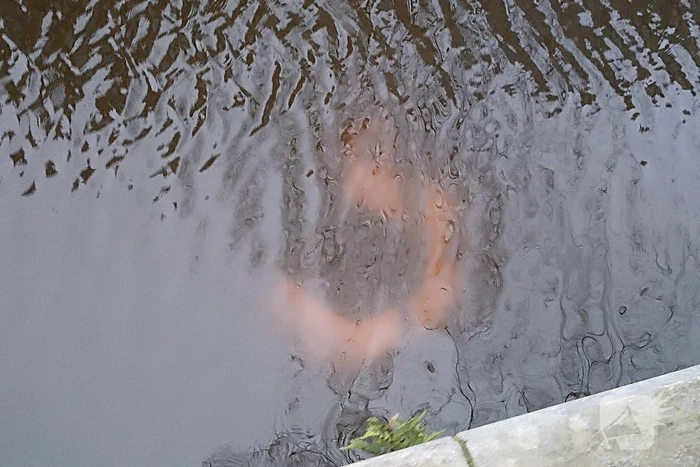 Scooterrijder gewond na te water raken