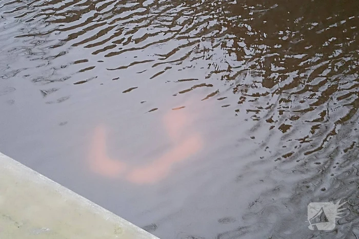 Scooterrijder gewond na te water raken