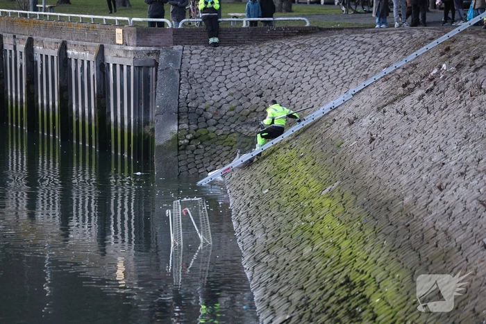 Zwaan gewond door mishandeling met stenen