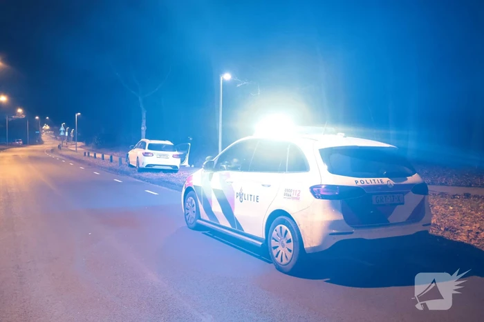 Auto botst tegen boom na uitwijkmaneuvre