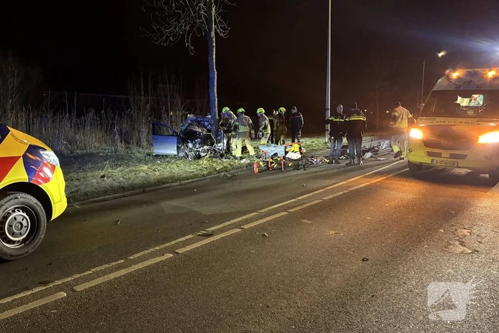 Auto botst tegen boom, drie personen gewond