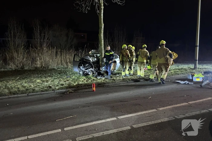 Auto botst tegen boom, drie personen gewond