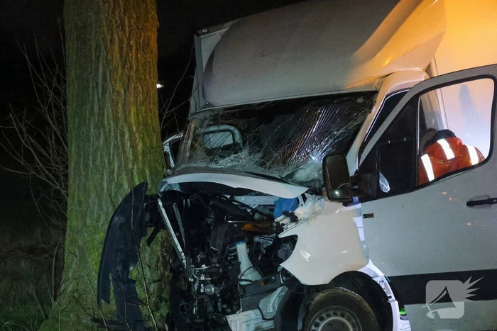 Bestelbus botst tegen boom
