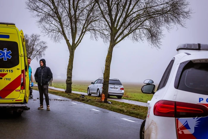 Automobilist botst tegen boom na ongeval