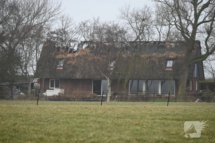 brand zeedijk blije