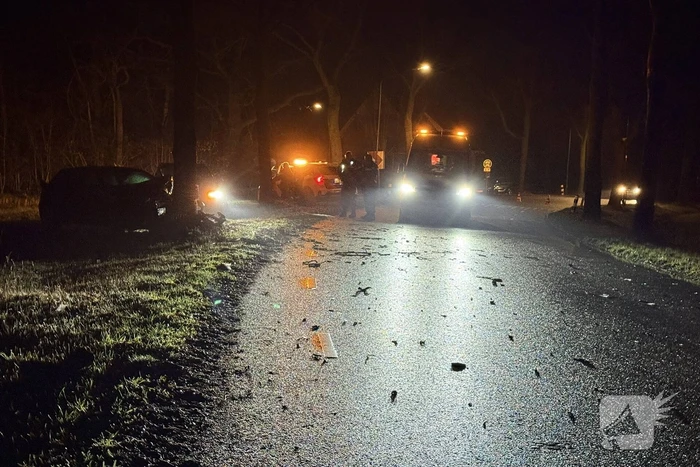 Ravage nadat auto tegen boom crasht