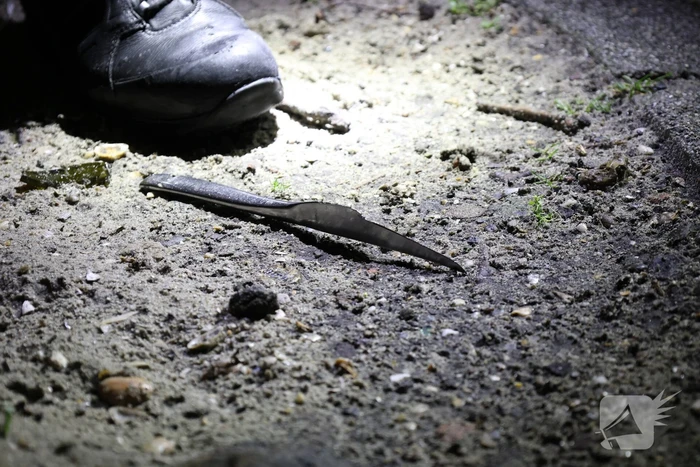 Steekincident leidt tot verwondingen aan gezicht