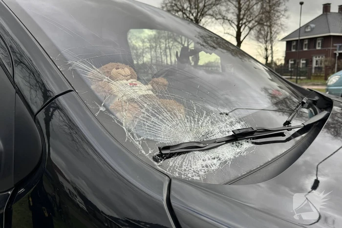 Bestelbus rijdt jongeman op fiets aan