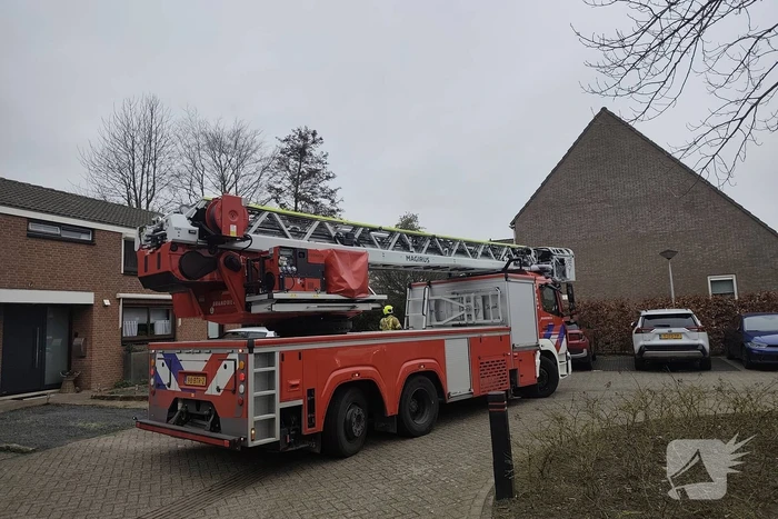 Brandweer helpt kat in nood