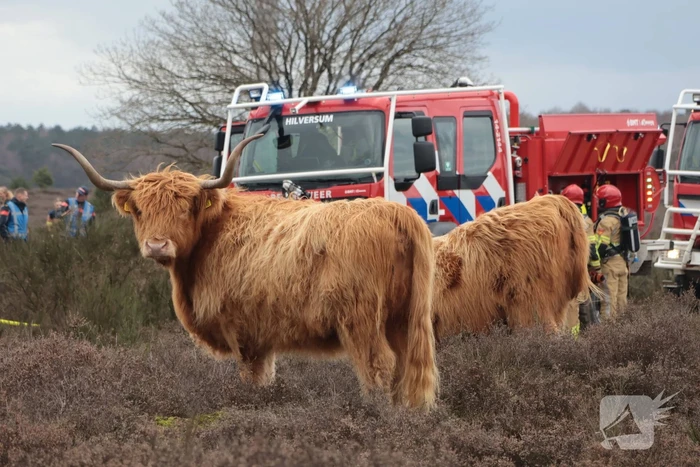Brandweer houdt grootscheepse natuurbrand oefening