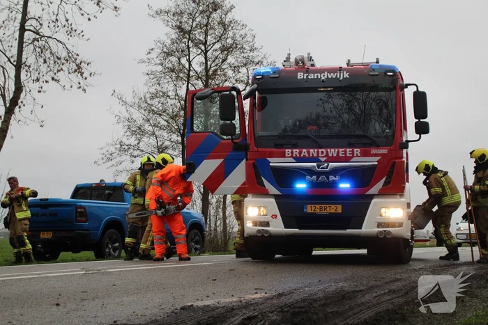 Boom valt op weg en veroorzaakt verkeersopstoppingen