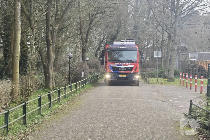 Stuk natuurgebied gaat in vlammen op
