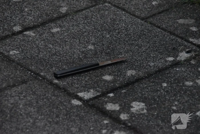 steekincident europaplein dongen
