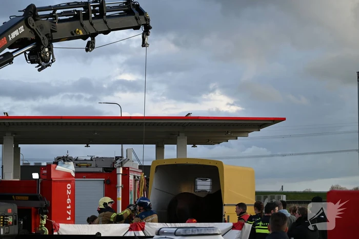 Paard zakt door vloer van trailer, brandweer schiet te hulp