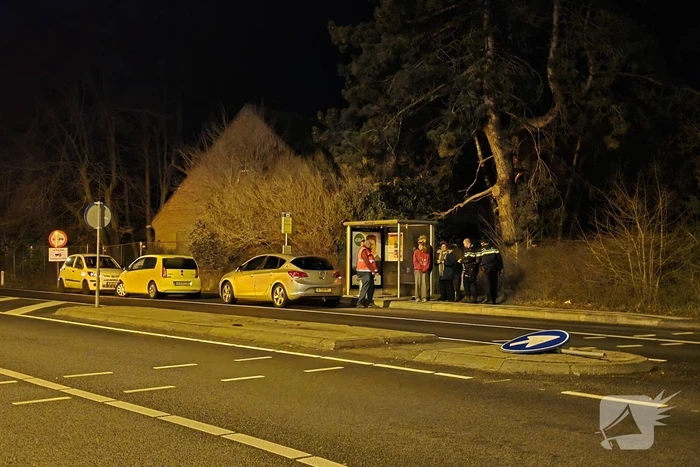 Bestuurder botst tegen verkeersbord