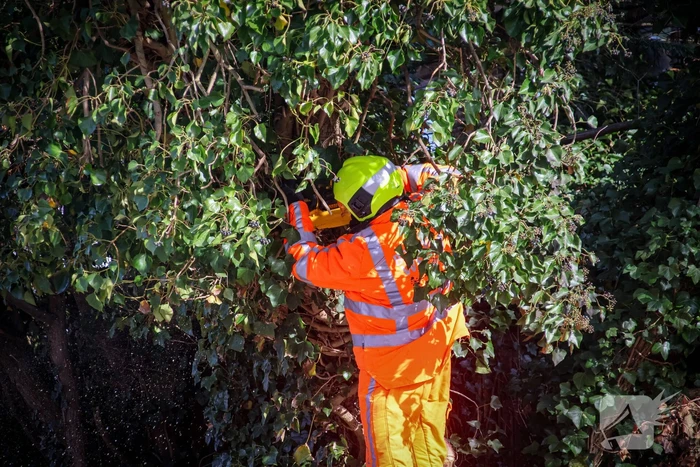 Brandweer verwijdert gevaarlijke takken na bijna ongeval