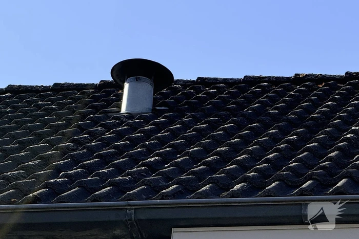 Vogel vast in spouwmuur, brandweer in actie