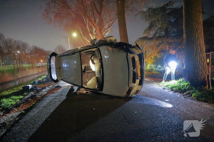 Bestelbus botst tegen boom, bestuurder gewond