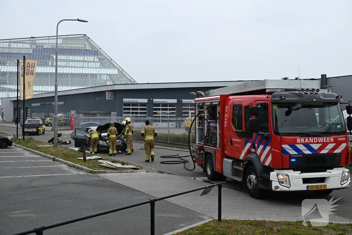 brand alexander cohenwei leeuwarden