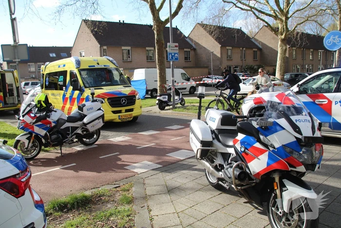 nieuws damastroos rotterdam