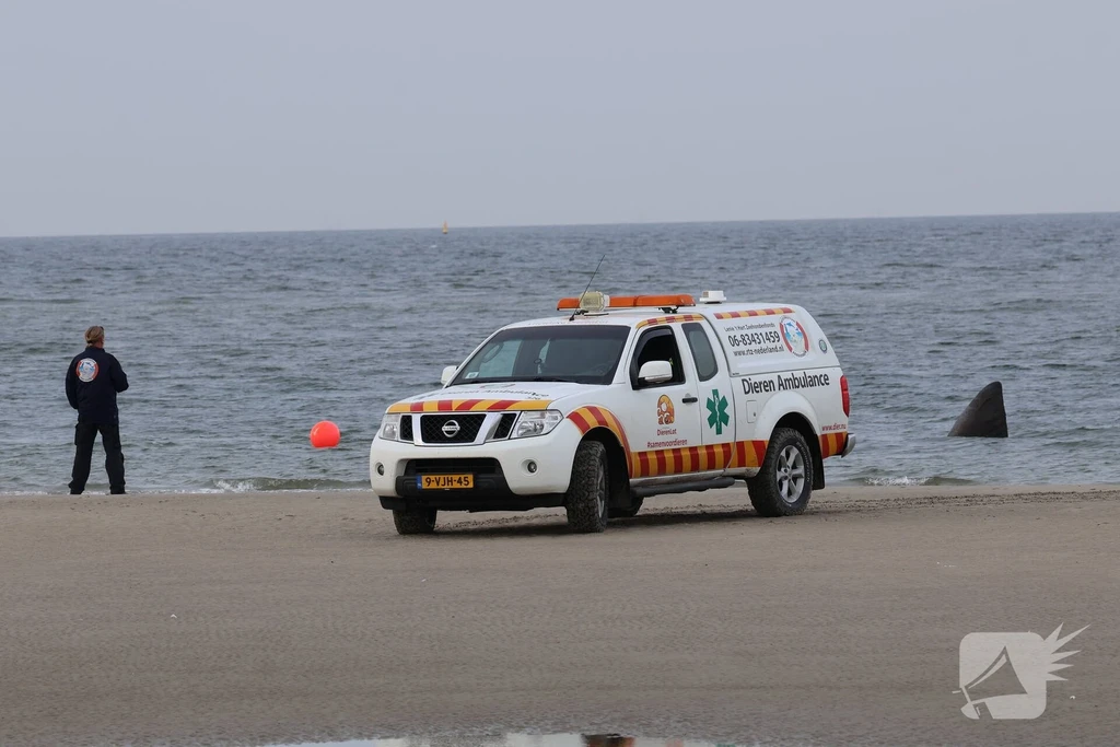 Oude Hoevepad Renesse 112 